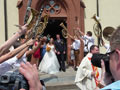 Hochzeitspalier